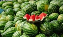 如何在网上免费吃瓜,轻松畅享热门资讯盛宴